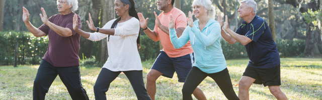 A group of older adults take part in an exercise class at a park