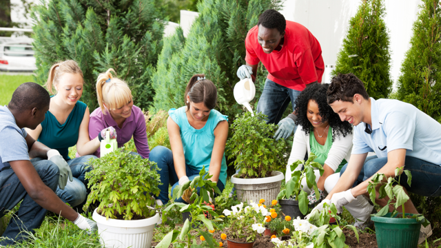 Group of ethnically diverse adults tend to plant pots in a community garden