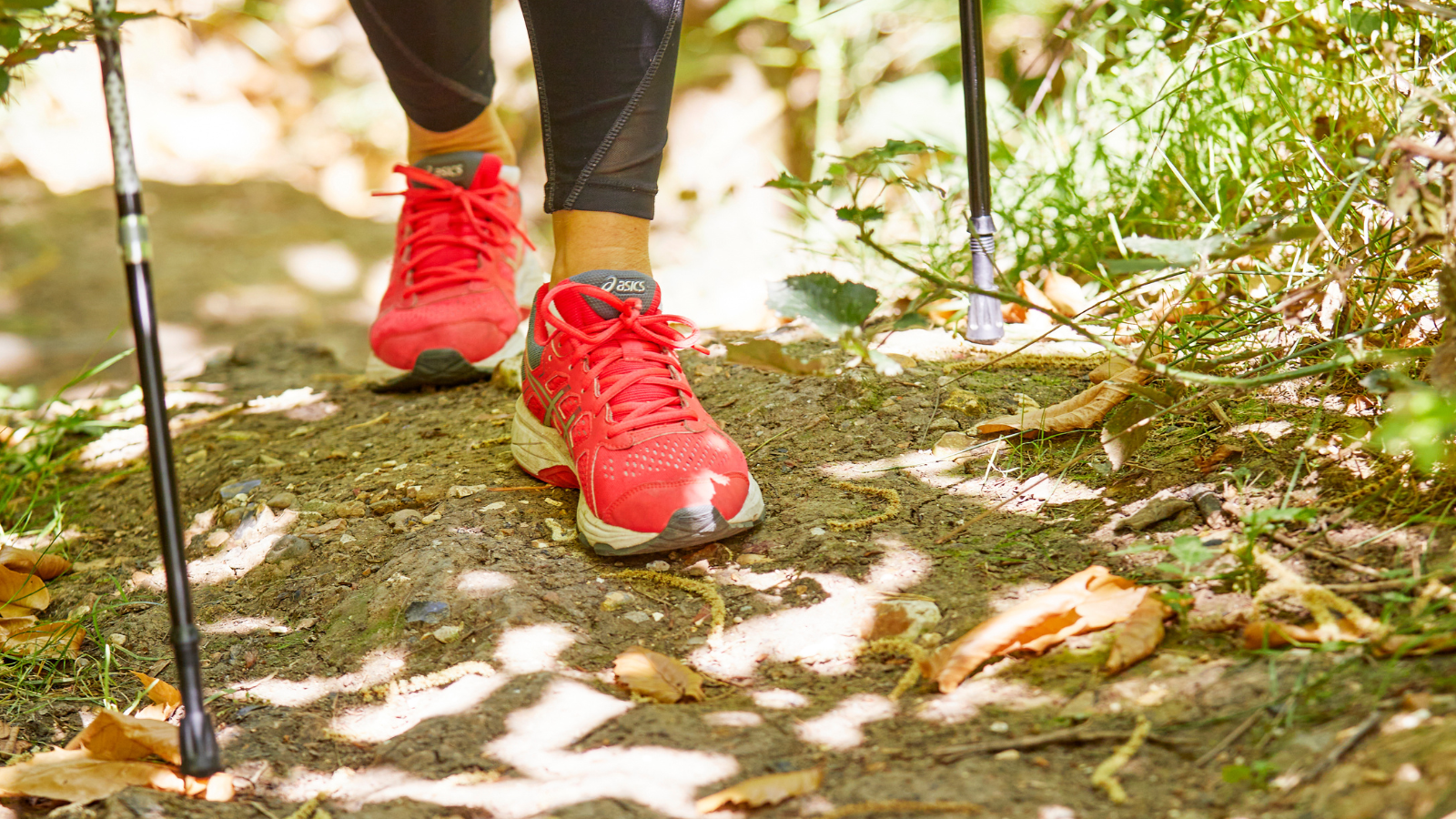 Close up of neon pink trainers and nordic walking poles in the forest