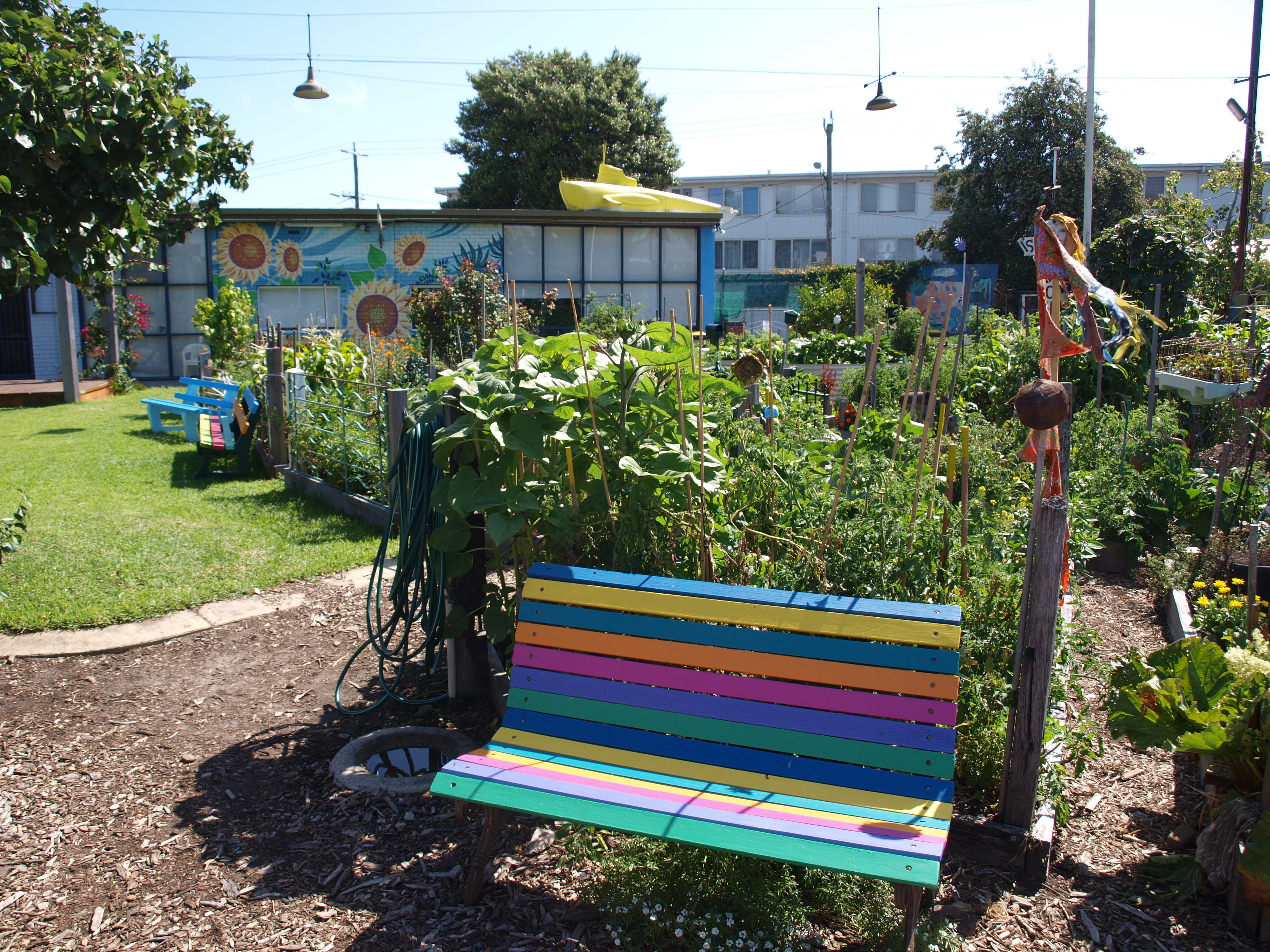 A rainbow coloured bench at an allotment on a sunny day