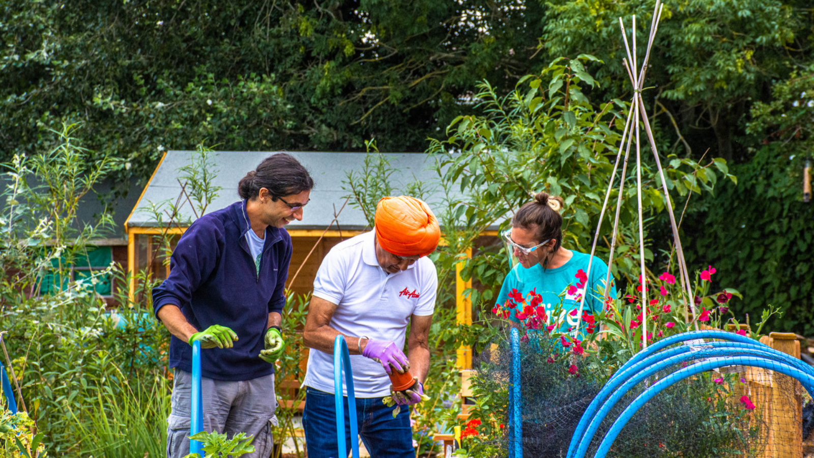 Two people look at Sikh man emptying a small plant pot in an allotment. 