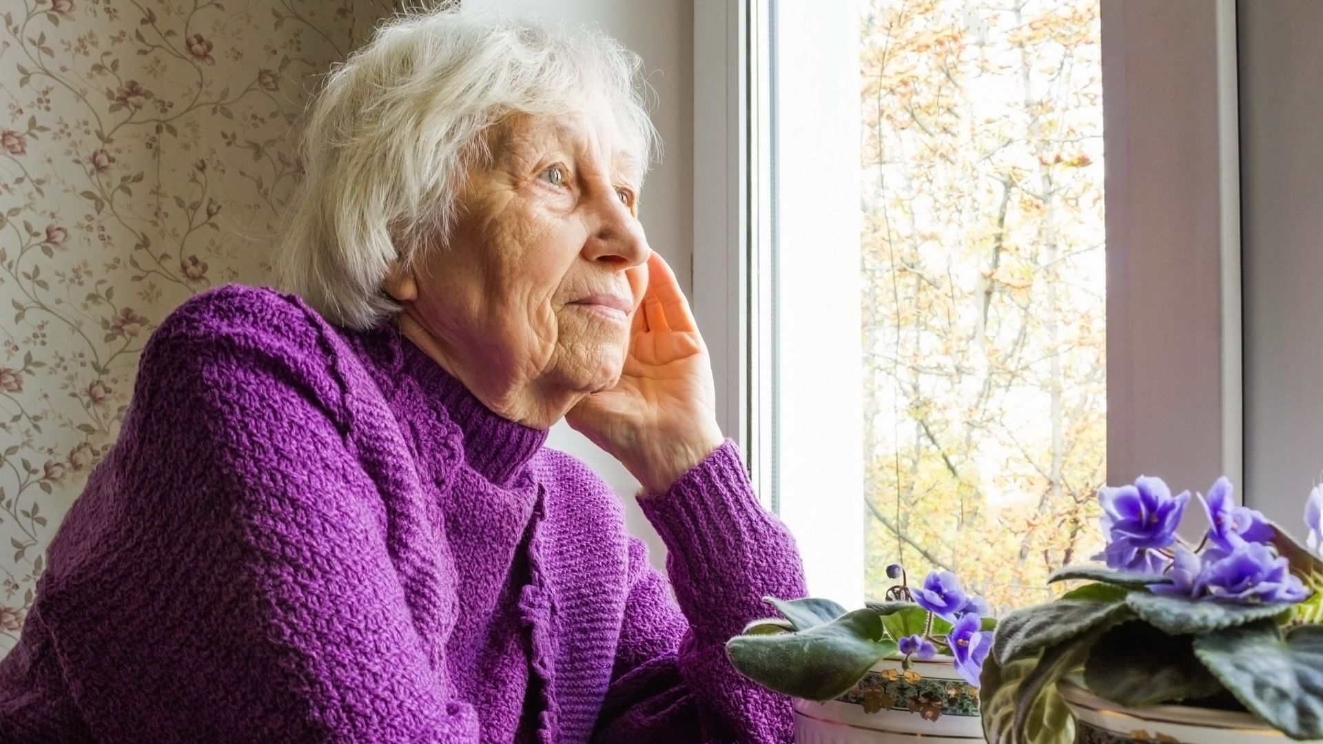 Elderly woman stares our window, there are purple flowers on the windowsill 