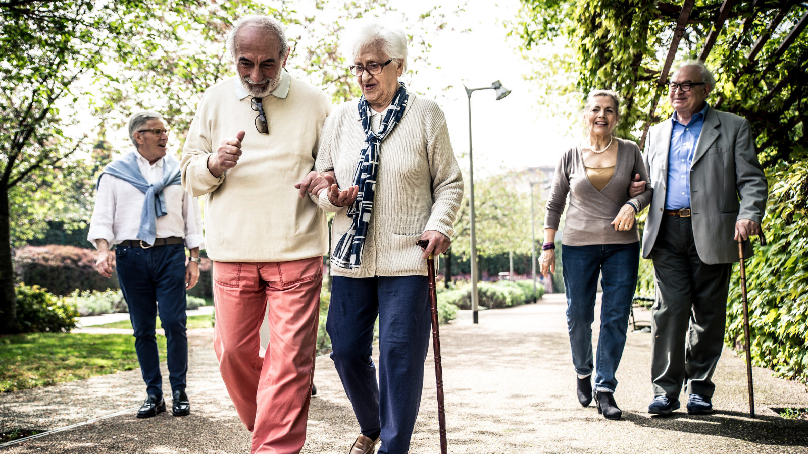Groups of older couples walk with sticks at the park
