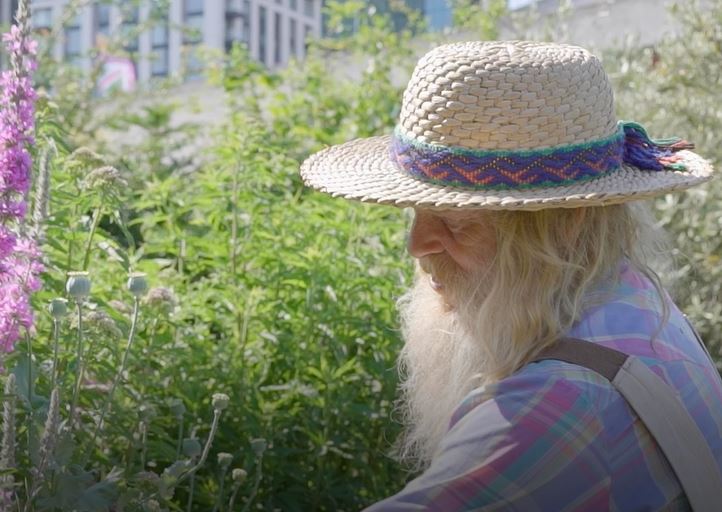 Head gardener at the Southbank Centre 