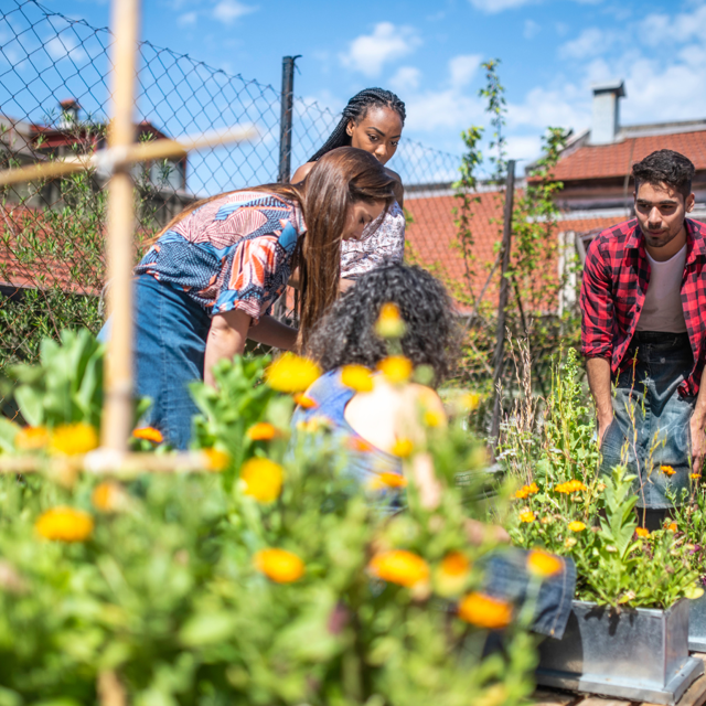 A group of three gardeners spending time tending to a city gardening project