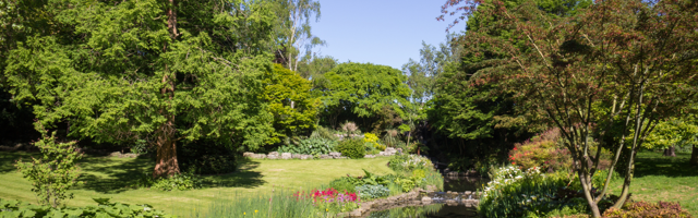 A park on a sunny day with trees, a river and colourful flower beds