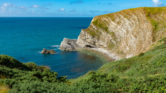 The Dorset coast on a sunny day
