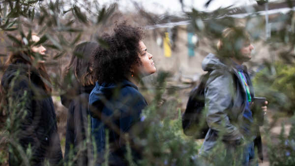 A lunchtime tour of the rooftop ecotherapy garden at Queen Elizabeth Hall