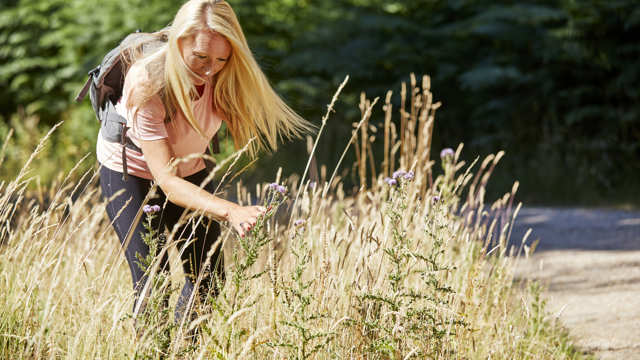 A white woman in a field takes a closer look at a thistle