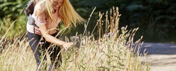 A white woman in a field takes a closer look at a thistle 