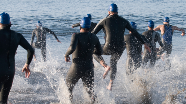A group of swimmers splashing entering the sea all wearing wetsuits and swim hats